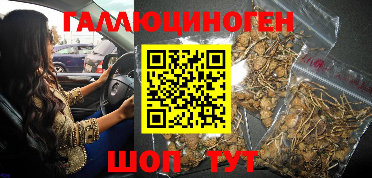 Псилоцибиновые грибы ЛСД Казань